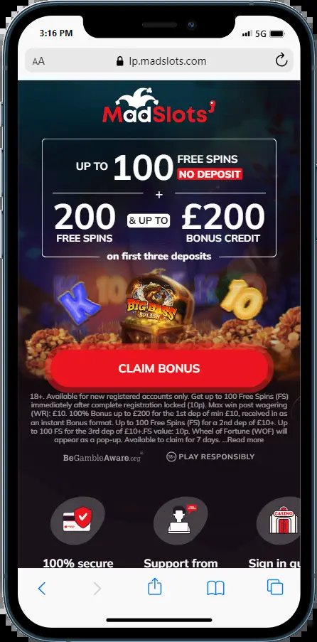Overview of madslots casino